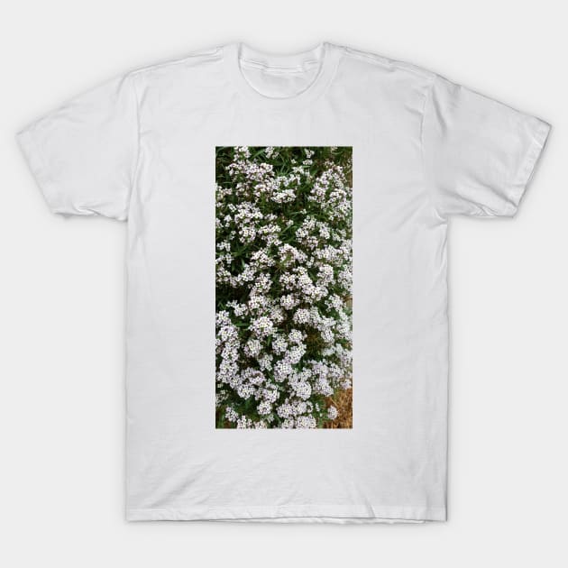 White Alyssum T-Shirt by Qur0w